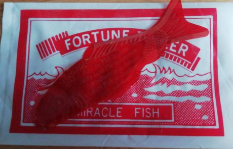 Miracle fish unboxed