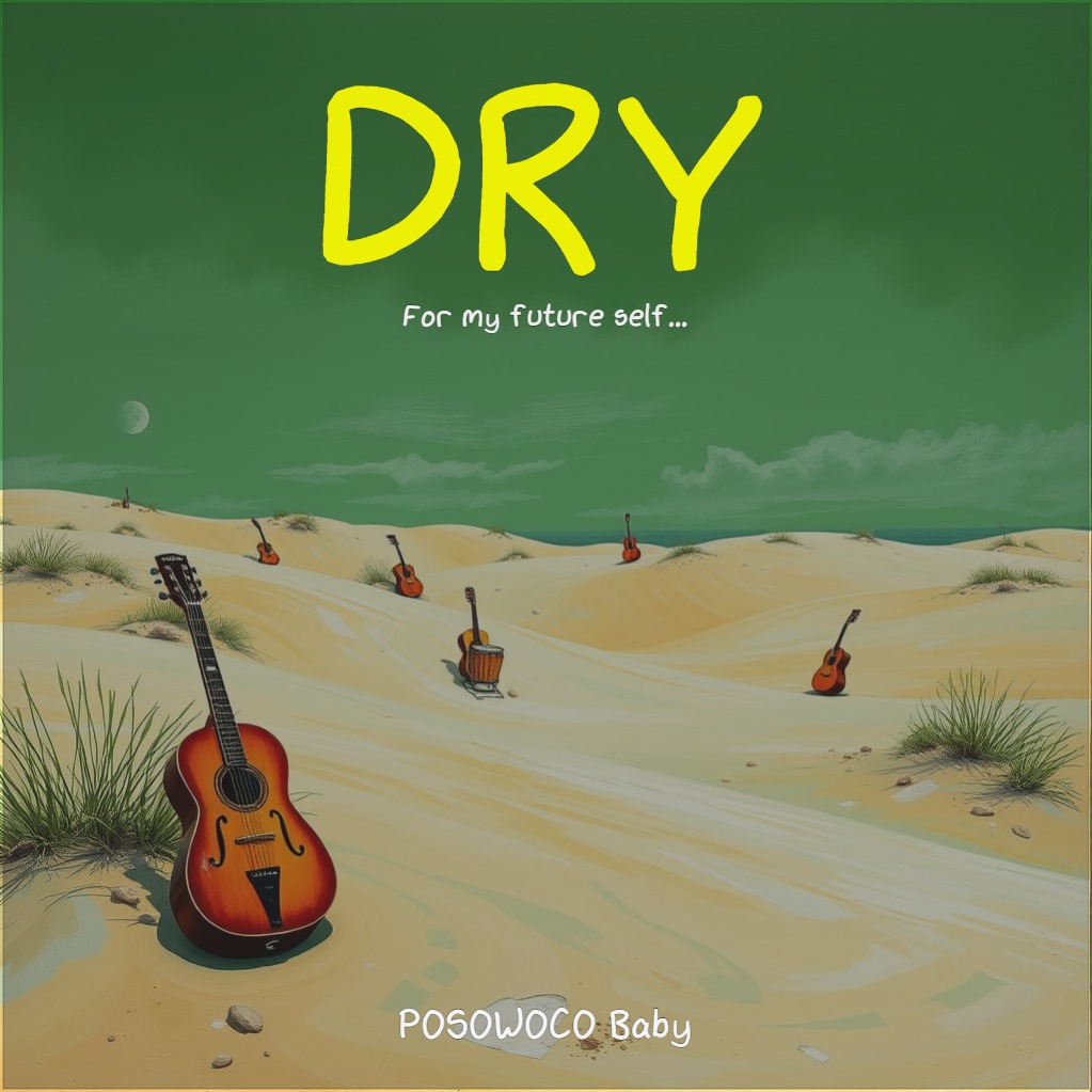 Dry album full cover