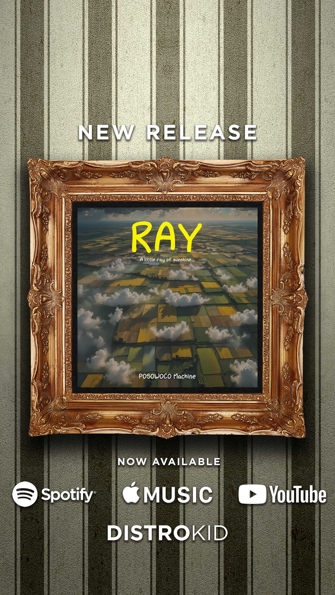 Distrokid Promocard Ray