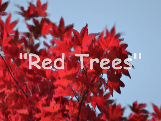 Streams Red Trees Track